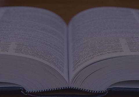content marketing ideas