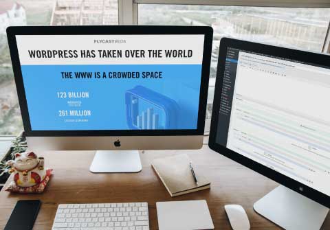 wordpress cms usage