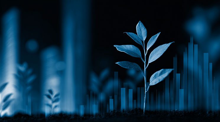 ESG and sustainable investment management