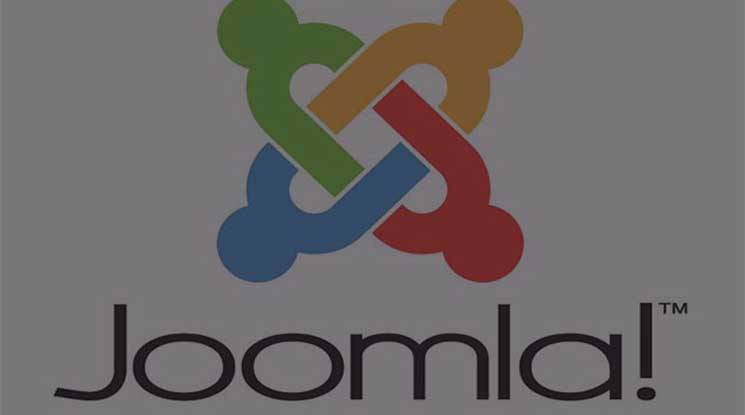 WordPress vs Joomla vs Drupal vs Magento: <br /><strong>Which Is The Best Option For Your Business?</strong>
