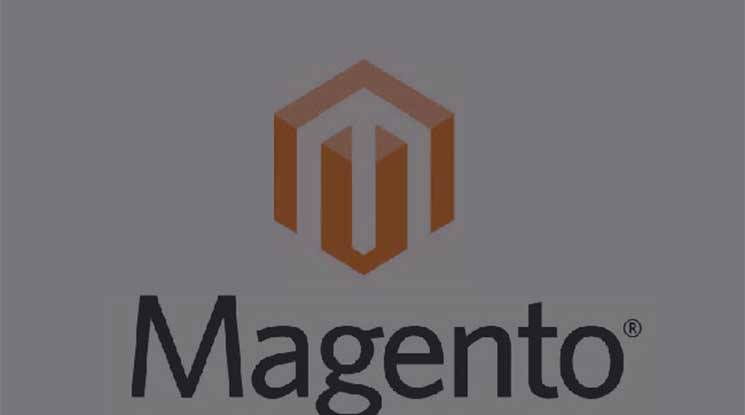 magento Ecommerce sites