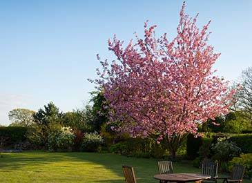 Evergreen Landscapes – PPC case study