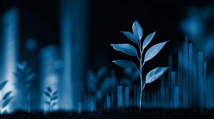 sustainable investment management